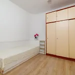 Mirjana Novi * נובי ווינודולסקי