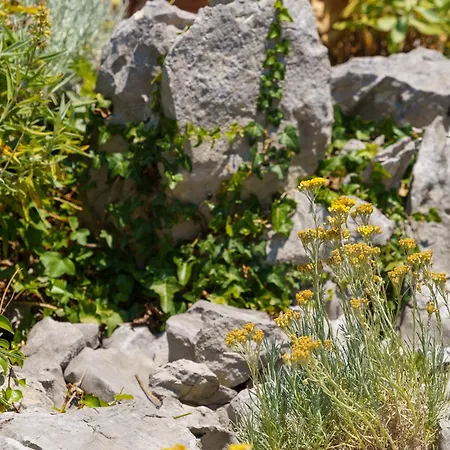 Mirjana Novi Appartamento