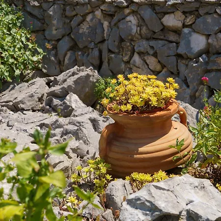 Mirjana Novi Appartamento Novi Vinodolski