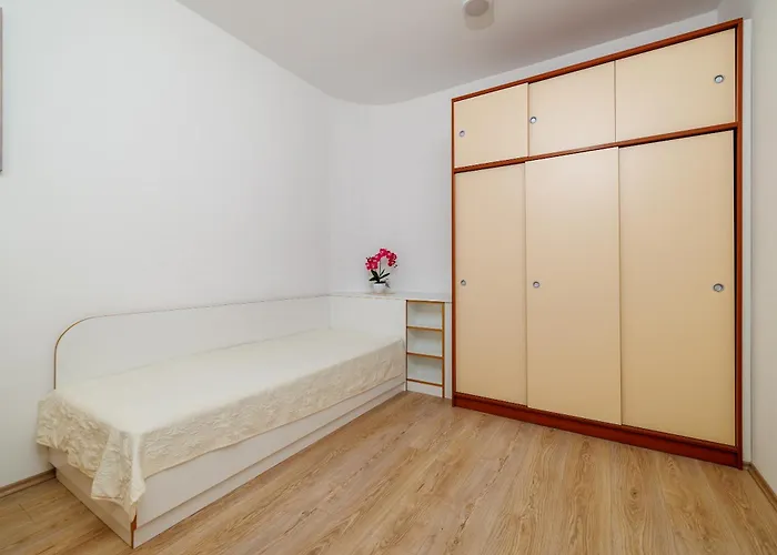 Mirjana Novi * 노비비노돌스키