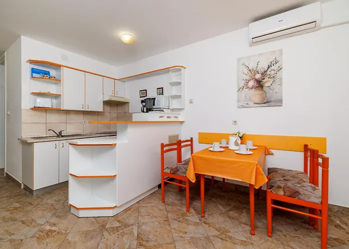 Mirjana Novi * 노비비노돌스키