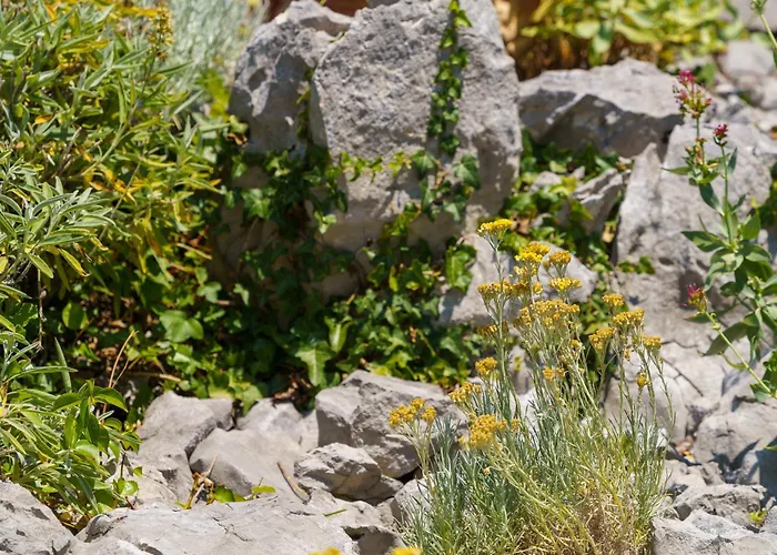 Mirjana Novi 아파트