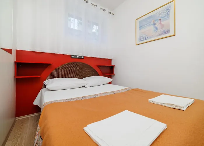 Mirjana Novi * 노비비노돌스키