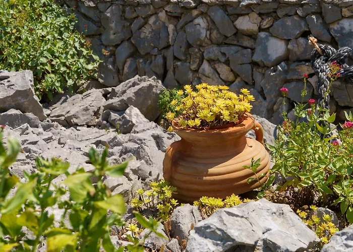 Mirjana Novi 아파트 노비비노돌스키