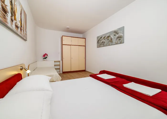 Mirjana Novi 노비비노돌스키