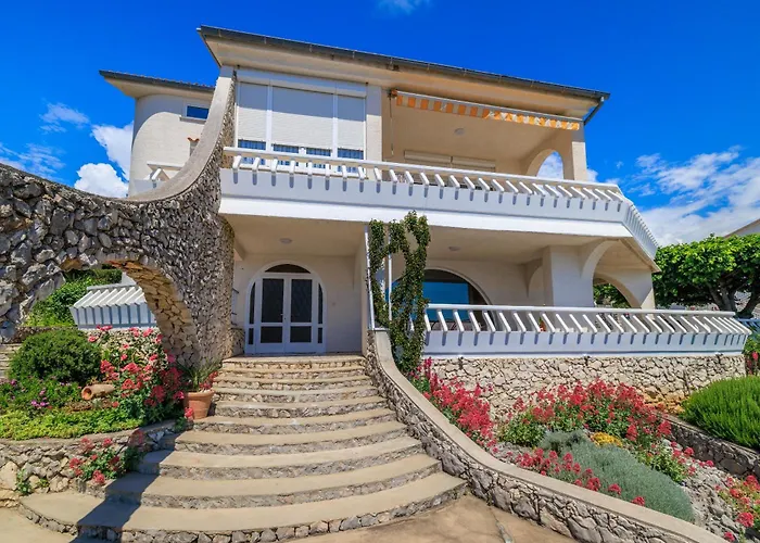 Mirjana Novi 노비비노돌스키