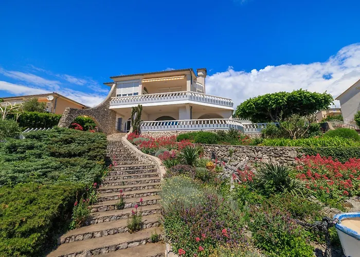 Mirjana Novi * 노비비노돌스키