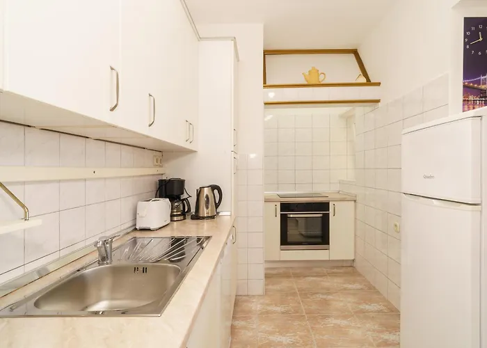 Mirjana Novi * 노비비노돌스키