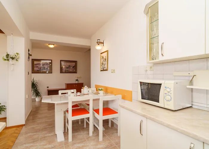 Mirjana Novi 노비비노돌스키