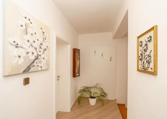 Mirjana Novi * 노비비노돌스키