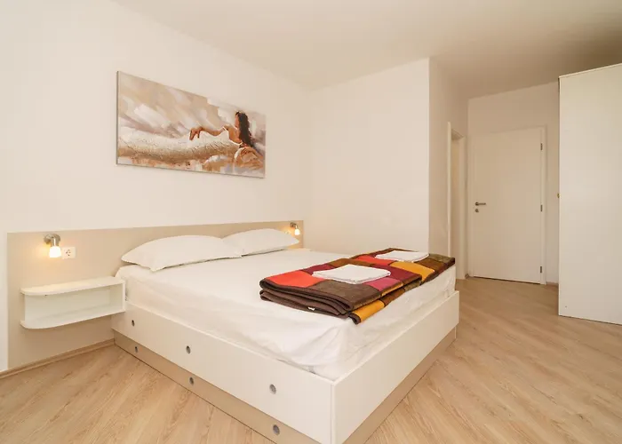 Mirjana Novi 노비비노돌스키