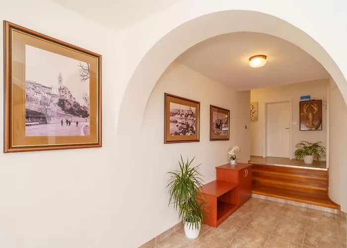 Mirjana Novi * 노비비노돌스키